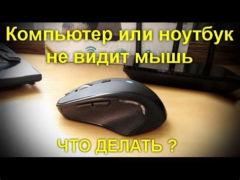 Почему мышка не может использовать лазер? Ограничения в анатомии и физиологии