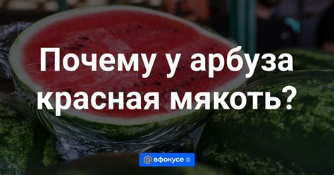 Почему мякоть арбуза отходит от корки?