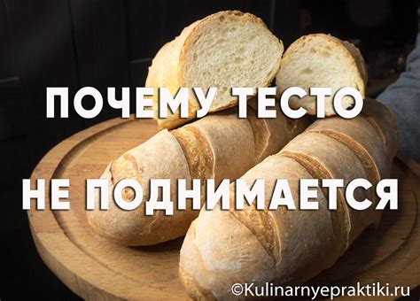 Почему не поднимается тесто на хлеб?