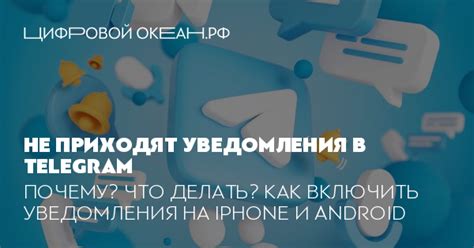 Почему не приходят уведомления в Telegram?