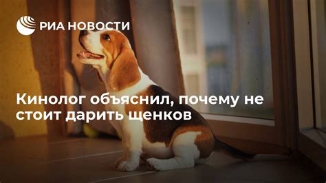 Почему не стоит дарить?