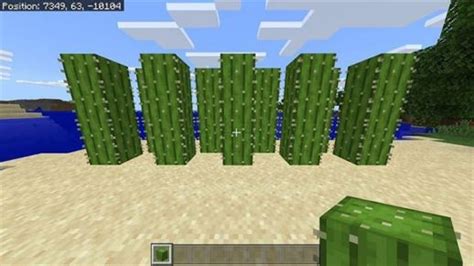 Почему нужен кактус в Minecraft и как его построить