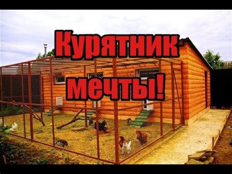 Почему нужен курятник