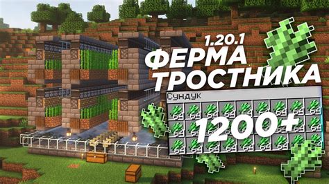 Почему нужна автоматическая ферма тростника в Minecraft 1.19