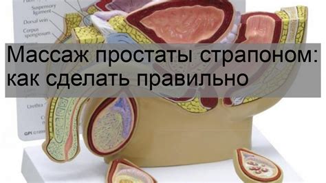 Почему нужно делать самостоятельный массаж простаты?