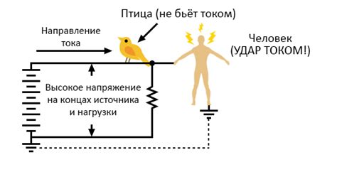 Почему нулевой провод не проводит ток?