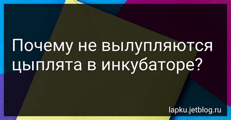 Почему они не вылупляются?