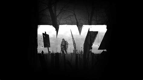 Почему оптимизация производительности важна для игры DayZ