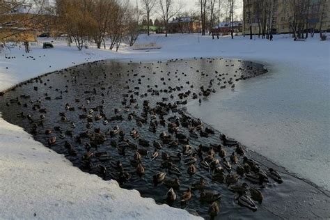 Почему отсутствует вода в Калуге сегодня?