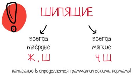 Почему пишется слово "могуч" без мягкого знака?