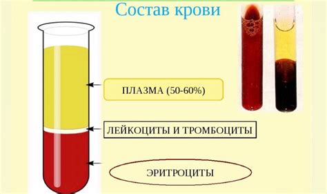 Почему плазма мною сдана?