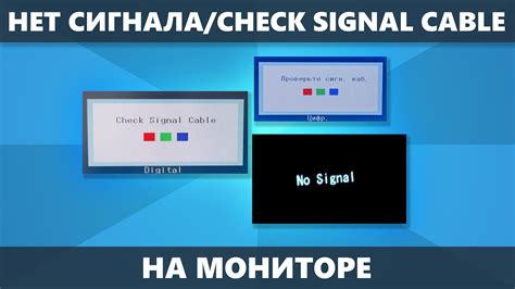 Почему проявляется "no signal" на мониторе?