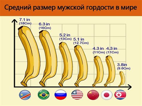 Почему размер пениса на картинах мужчин не всегда достоверен