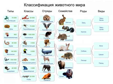 Почему разные виды животных обитают неравномерно?