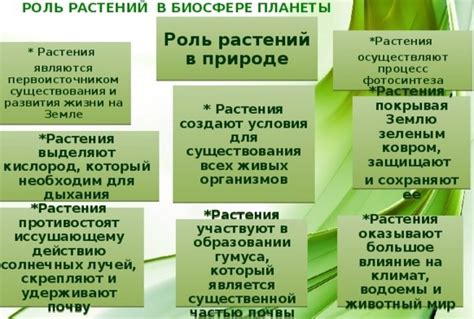 Почему растения важны для биологии?