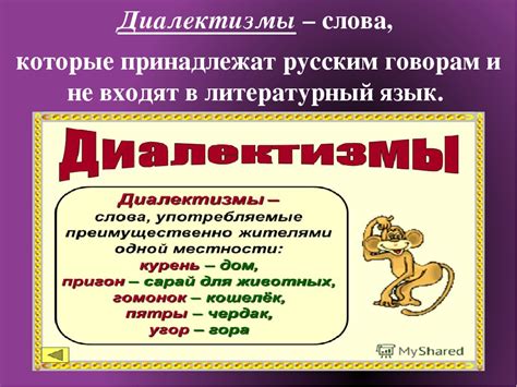 Почему синонимы для диалектных слов отсутствуют?