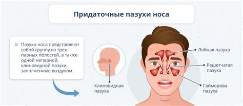 Почему сухая слизистая носа - проблема