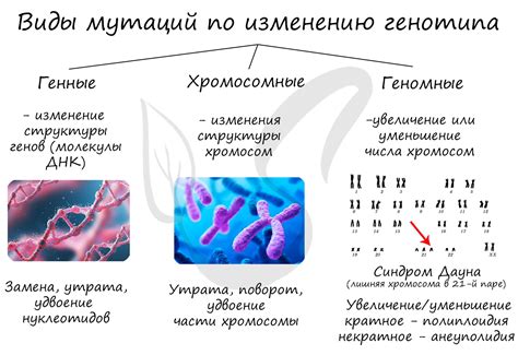 Почему такие названия используются в биологии