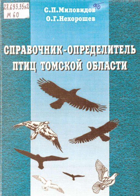 Почему тире было использовано в названии