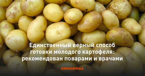 Почему тушение лучший способ готовки картофеля