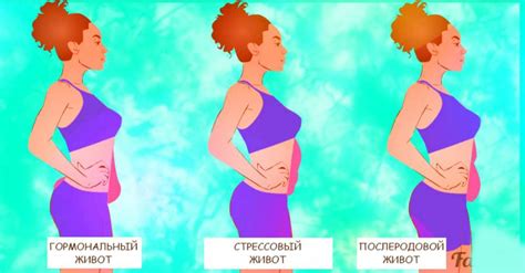 Почему у женщин растет живот при низком калораже?