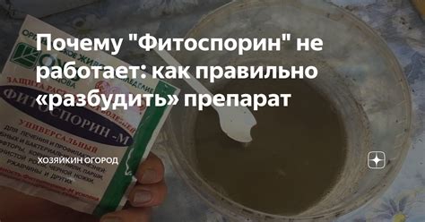 Почему фитоспорин пользуется популярностью