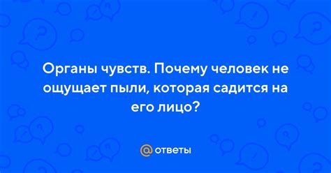 Почему человек не ощущает пылинок на лице?