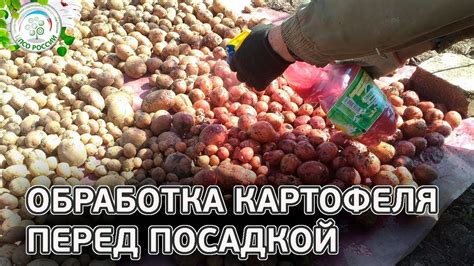 Пошаговая обработка и химические вещества