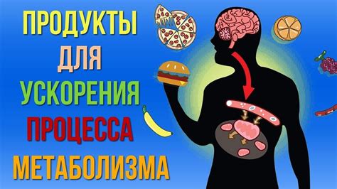 Появление несовместимых продуктов в организме