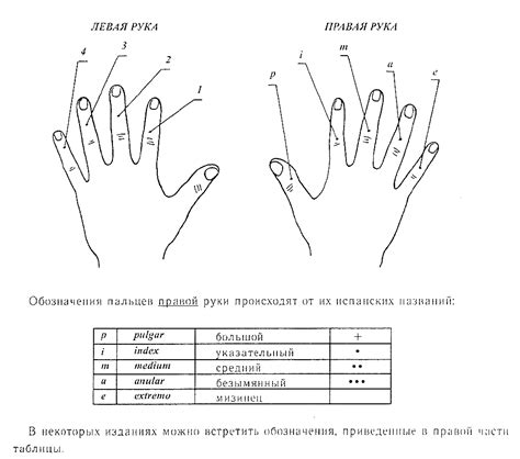 Правая и левая рука