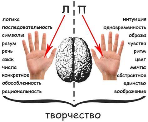 Правая рука в цивилизациях: статус и символизм