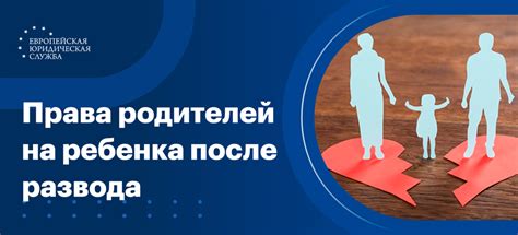 Права и обязанности отца после рождения ребенка
