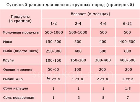 Правила добавления новых продуктов в рацион щенка