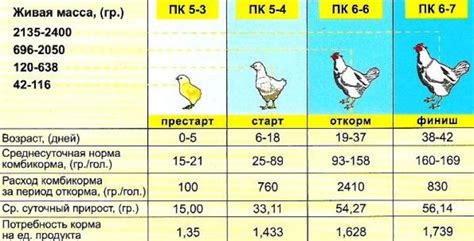 Правила забоя бройлеров