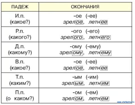 Правила изменения прилагательных