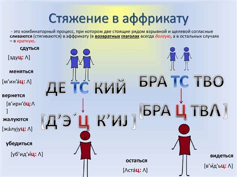 Правила изменения согласных