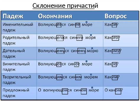 Правила написания и склонения слова "кают-компания"