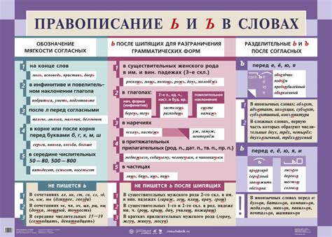 Правила написания слова "касаясь" в разных грамматических формах