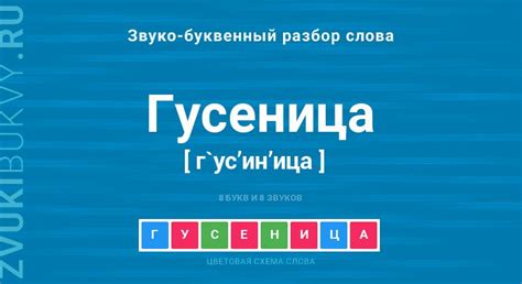 Правила написания слова гусеница