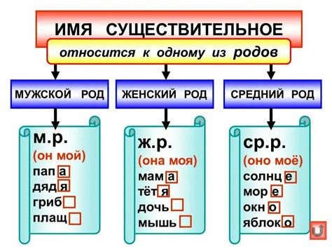 Правила определения рода существительных в русском языке