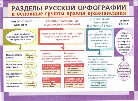 Правила орфографии и грамматики