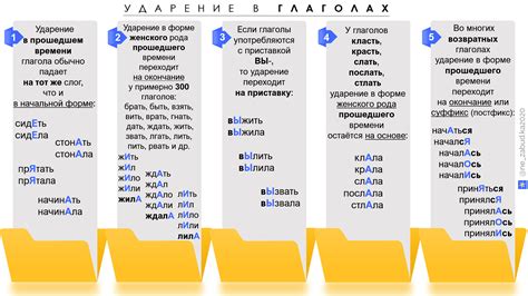 Правила постановки ударения в слове "тефтели"