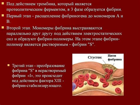 Правила приема крови и медицинские аспекты