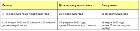 Правила проверки начисления и оплаты НДФЛ в 2023 году