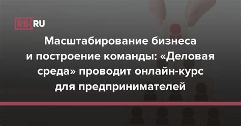 Правила развития бизнеса: масштабирование, управление и расширение команды