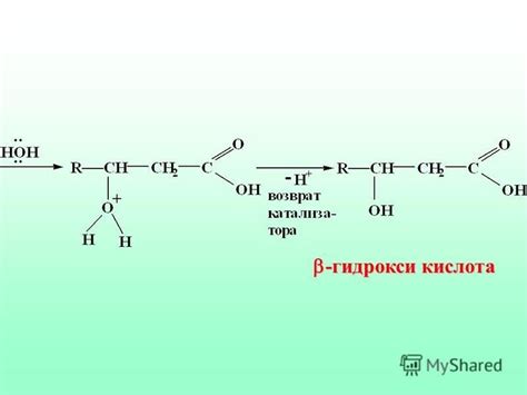 Правила регулярной гидратации