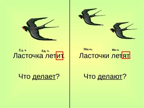 Правила русского языка: множественное число глагола "бриться"