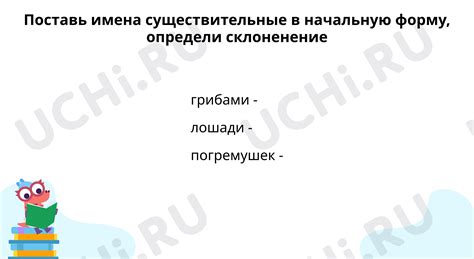 Правила склонения управляющей во множественном числе