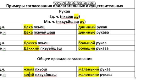 Правила согласования существительного и прилагательного