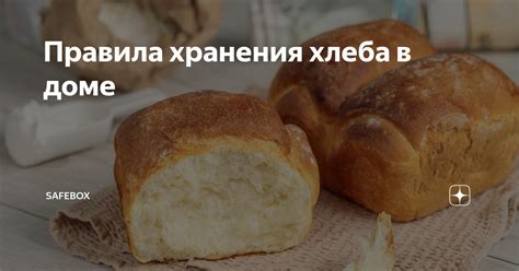 Правила хранения хлеба и профилактика плесневых поражений